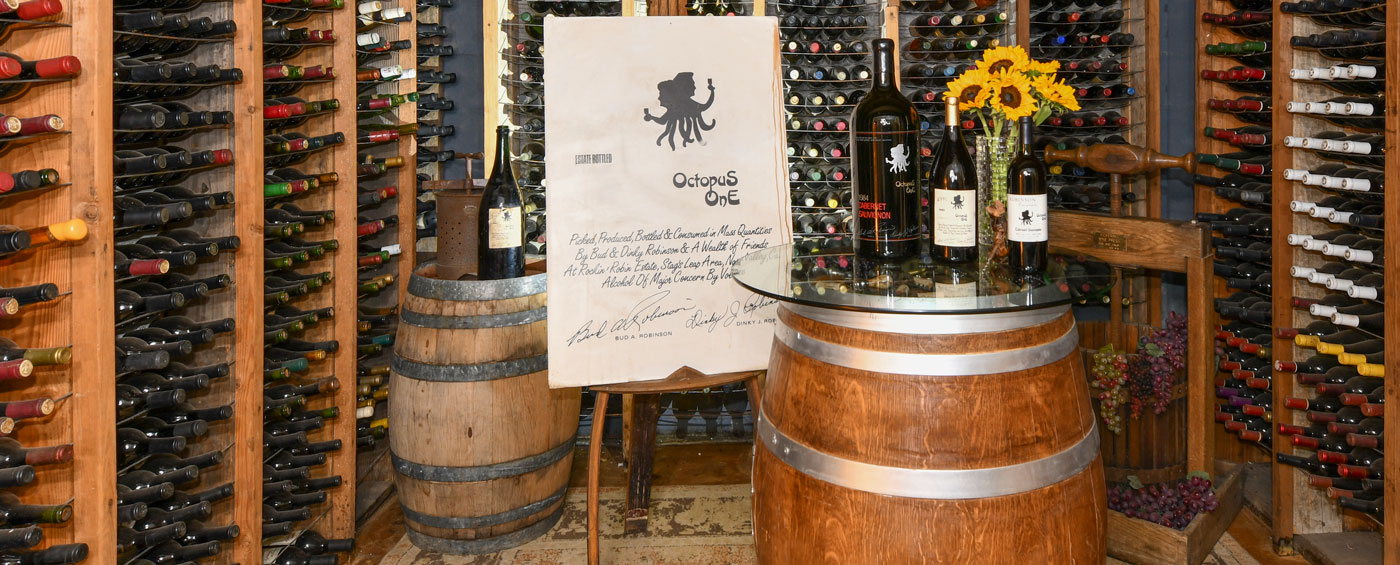 Historic wine cellar photo