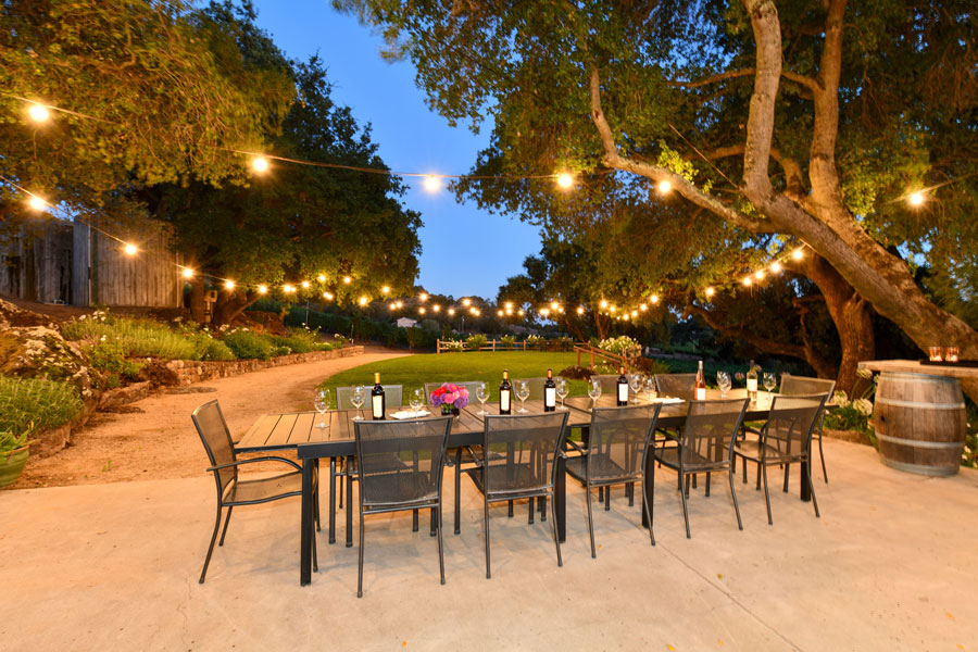 Tasting area on the lawn